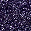 MIYUKI Delica Beads SEED-X0054-DB1756-3
