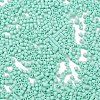 Baking Paint Glass Seed Beads SEED-S042-05B-61-3