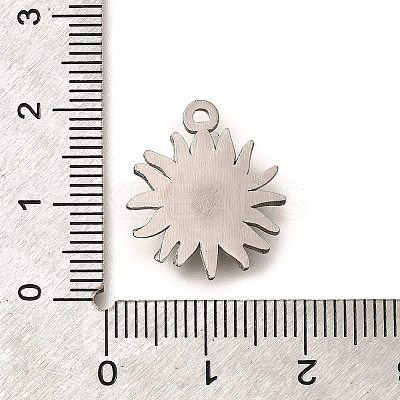 304 Stainless Steel Pendants LS-STAS-P381-07P-1