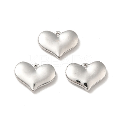 Non-Tarnish 304 Stainless Steel Pendants LS-STAS-E176-01P-1