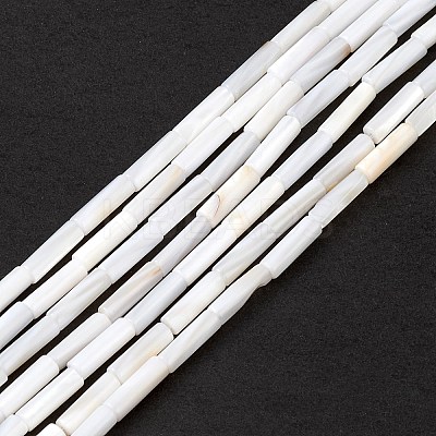 Natural Freshwater Shell Beads Strands X-SHEL-M018-10-1