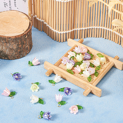 25Pcs 5 Colors Acrylic Charms KY-TA0001-22-1