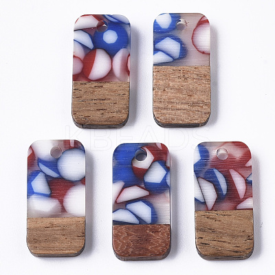 Two-tone Transparent Resin & Walnut Wood Pendants RESI-S384-008A-B08-1