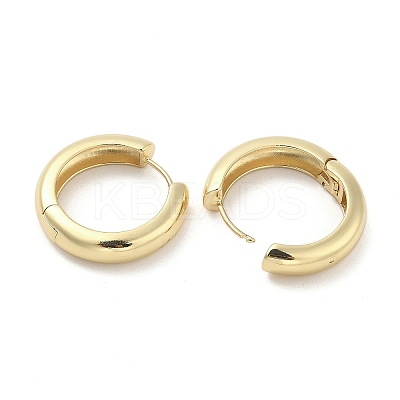 Brass Hoop Earrings EJEW-M260-08G-1