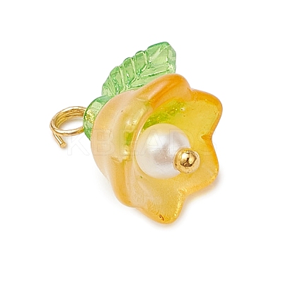 Glass Charms PALLOY-MZ00838-01-1
