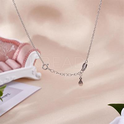 12 Pieces Extension Chain with lobster buckle Sterling Silver Extender Chains Necklace Bracelet Anklet Removable Chain Extenders Charms for DIY Jewelry Making Accessories JX630A-1