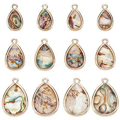 12Pcs 3 Styles Natural Paua Shell Pendants SHEL-BC0001-038-1