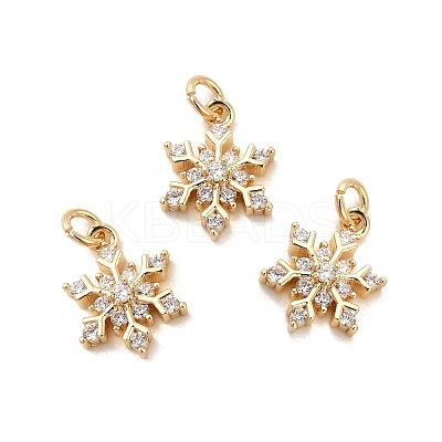 Rack Plating Brass Micro Pave Cubic Zirconia Charms X-KK-E081-15G-1