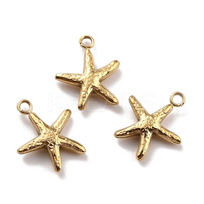 Ion Plating(IP) 316 Surgical Stainless Steel Charms STAS-M293-11G-1