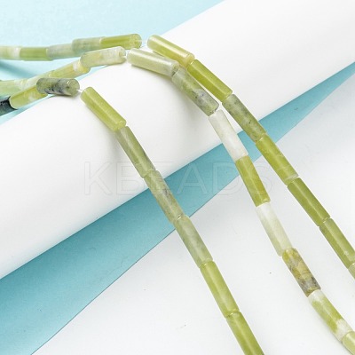 Natural Taiwan Jade Beads Strands G-F247-43-1