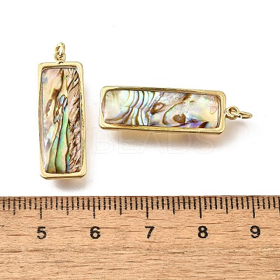Natural Paua Shell & Epoxy Resin Pendants KK-E794-02G-07-1