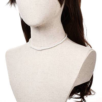 Vintage Painted Round Glass Pearl Beaded Necklace for Girl Women Mother NJEW-JN03665-1