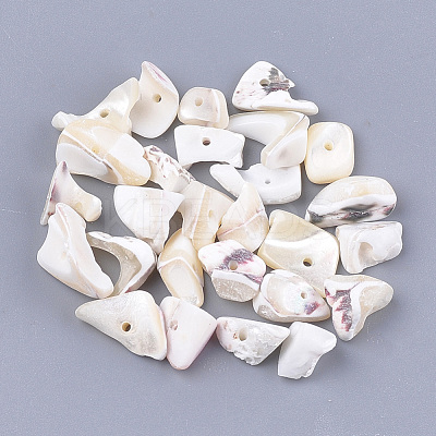 Sea Shell Beads SSHEL-T008-18-1