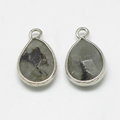Natural Labradorite Pendants G-Q494-82P-01-1