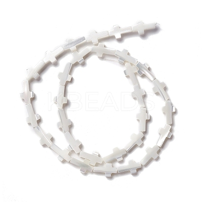 Natural Trochid Shell/Trochus Shell Beads SSHEL-O0001-22A-1