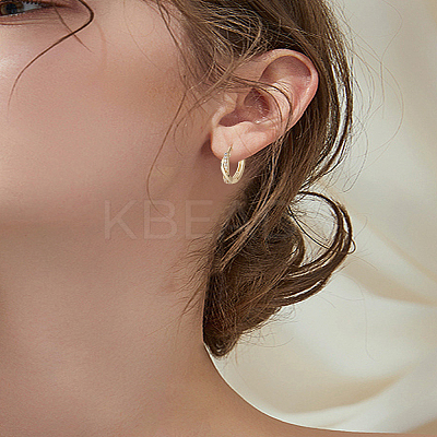 2Pcs Brass Clear Cubic Zirconia Twist Hoop Earrings EJEW-LP0007-016-1