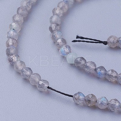 Natural Labradorite Beads Strands G-F619-15-2mm-1