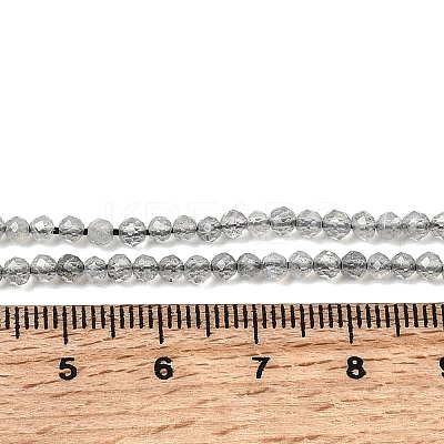 Natural Labradorite Beads Strands G-H336-A08-02-1
