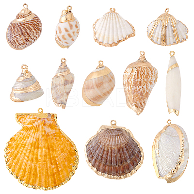12Pcs 12 Styles Electroplated Natural Shell Pendants BSHE-PH0001-56-1