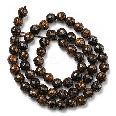 Natural Bronzite Beads Strands G-E571-42A-1