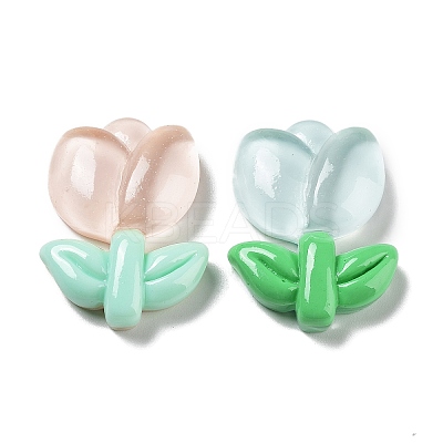 Translucent Resin Cabochons RESI-G084-15-1
