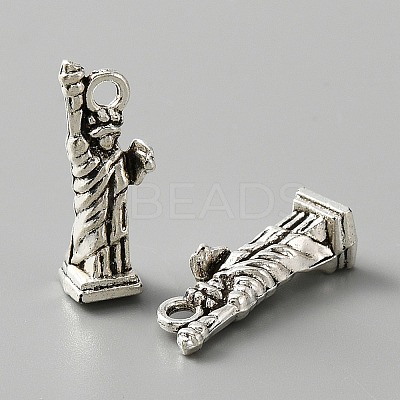 Tibetan Style Alloy Charm LS-FIND-CJC0006-22AS-1