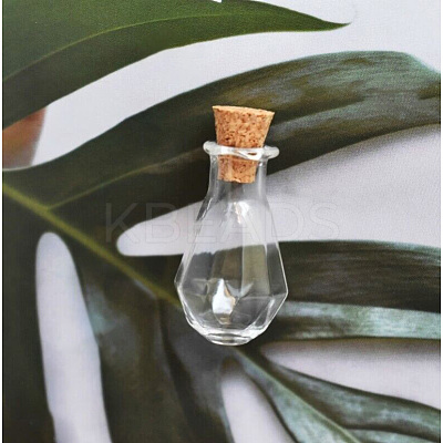 Clear Glass Cork Bottles Ornament X-PW-WG89753-01-1