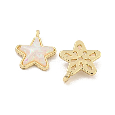 Translucent Resin Pendants KK-M291-24C-1