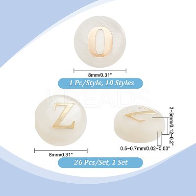 Natural Shell Beads SHEL-PH0001-53-1