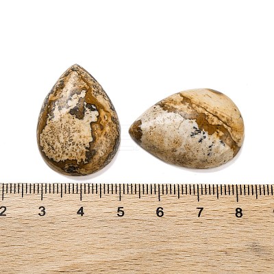 Natural Picture Jasper Cabochons G-B085-03B-10-1