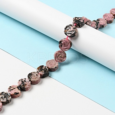 Natural Rhodonite Beads Strands G-D475-01L-1