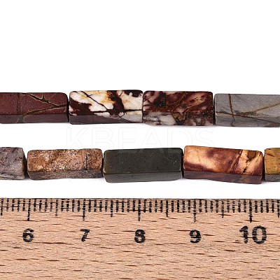 Natural Picasso Jasper/Polychrome Jasper Beads Strands G-T141-104-1