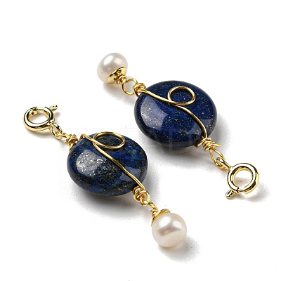 Natural Lapis Lazuli Flat Round Pendant Decorations G-R489-47G-1