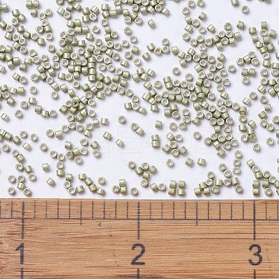 MIYUKI Delica Beads SEED-JP0008-DB1181-1