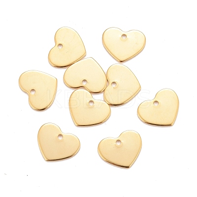 201 Stainless Steel Charms X-STAS-K217-76G-1