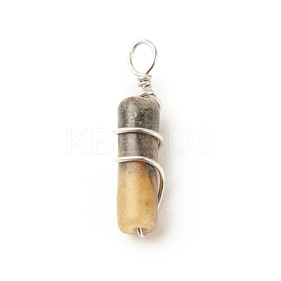 Natural Jade Pendants PALLOY-JF01575-06-1