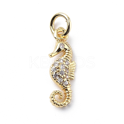 Brass Micro Pave Cubic Zirconia Charms ZIRC-F131-06G-1