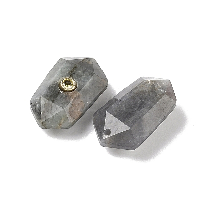 Natural Labradorite Faceted Pendants G-B151-02G-1