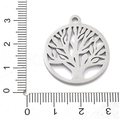 304 Stainless Steel Pendants STAS-L245-016P-1