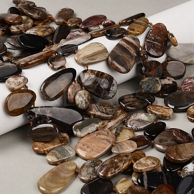 Natural Petrified Wood Beads Strands G-C253-06-1