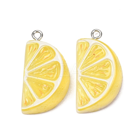 Fruit Theme Opaque Resin Imitation Food Pendants RE-CBA49A8-04B-1