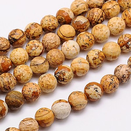 Natural Picture Jasper Beads Strands G-G542-6mm-08-1