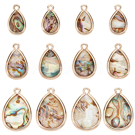12Pcs 3 Styles Natural Paua Shell Pendants SHEL-BC0001-038-1