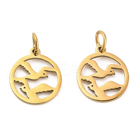 304 Stainless Steel Charms STAS-D050-07G-09-1