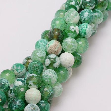 Natural Fire Crackle Agate Bead Strands G-G882-10mm-B01-1