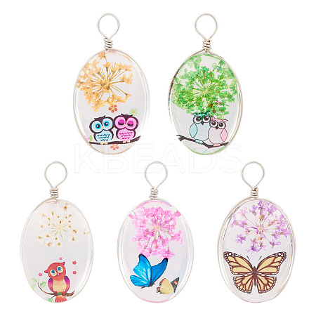 5Pcs Transparent Glass Pendants GLAA-TA0002-84-1