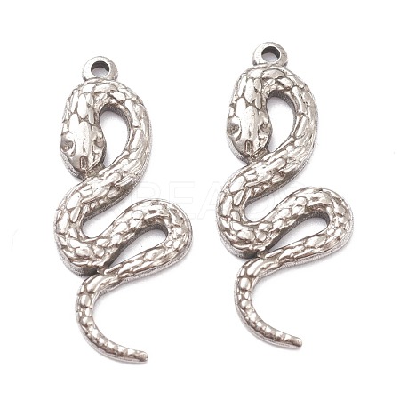 Non-Tarnish 304 Stainless Steel Pendants STAS-G244-12P-1