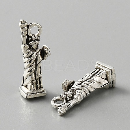 Tibetan Style Alloy Charm LS-FIND-CJC0006-22AS-1