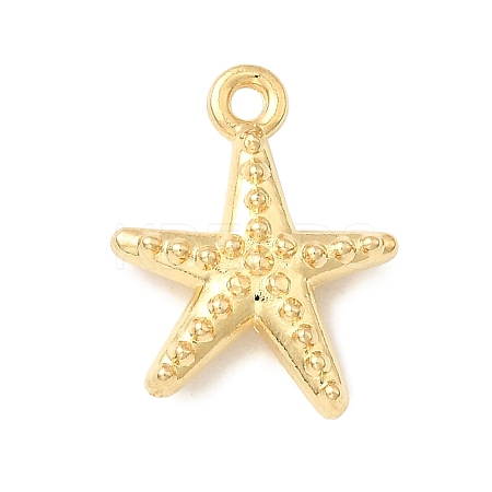 304 Stainless Steel Pendants STAS-B103-02C-G-1