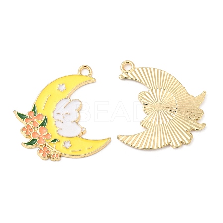 Alloy Enamel Pendants FIND-C037-09G-02-1